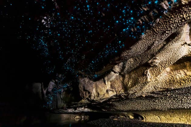 Low angle view of illuminated Arachnocampa luminosa in Waipu cave, New Zealand  FOF10927