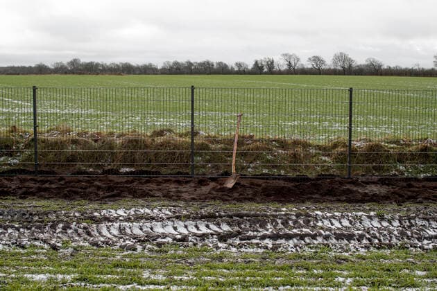 ARCHIVE Wild boar fence along the border with Germany, slightly outside Padborg, January 29, 2019 On Monday, the disputed wild boar fence at the Danish German border is quite clear But WWF and the Danish Society for Nature Conservation are struggling to get the fence removed again, writes Ritzau, Saturday November 30, 2019, Padborg Denmark,  Copyright: PeterxHovexOlesenx cop999 spdk20191130-130811-L