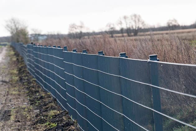 The last piece of the much-talked-about wild boar fence on the border between Denmark and Germany was mounted on Monday, December 2, 2019, Toftlund Denmark,  Copyright: ClausxFisker ClausxFiskerx cop106 spdk20191202-122525-L