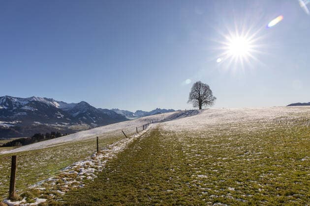 Sonniges Wetter im Allgäu 05 12 2019, Ofterschwang Bayern The sun shines on a meadow with a bare tree and a thin blanket of snow in front of the Allgäu High Alps , Ofterschwang Germany