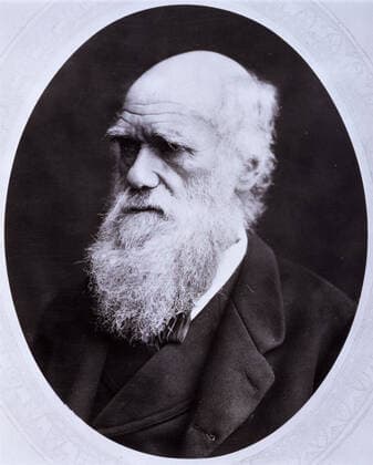 Darwin - Portrait Portrait en medaillon de Charles DARWIN (1809-1882). Photographie anonyme vers 1880. Credit: Collection CL KHARBINE-TAPABOR. *** Darwin Portrait Portrait Medallion portrait of Charles DARWIN 1809 1882 Anonymous photograph circa 1880 Credit Collection CL KHARBINE TAPABOR  KH47259