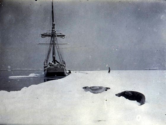 Commander CHARCOT The boat Le Français of the Charcot expedition to the south pole in 1903 1905 moored at the ice floe not far from the seals Photograph PLENEAU P 19 20 s Credit KHARBINE TAPABOR COLL S Kakou  KH60596