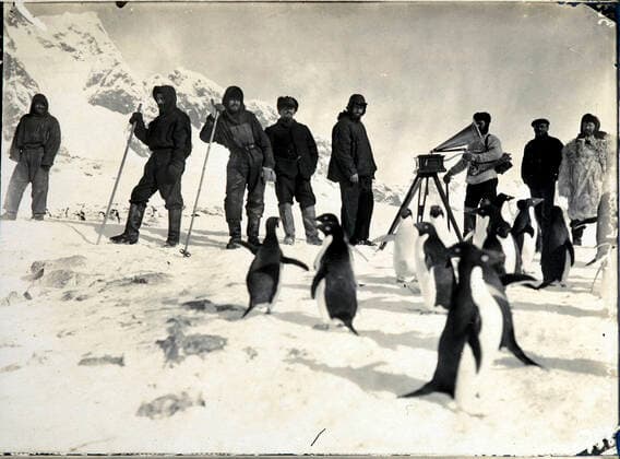 Commander CHARCOT Members of the Charcot expedition to the south pole between 1903 and 1905 dancing penguins to the sound of the phonograph Photograph PLENEAU P 19 20 s Credit KHARBINE TAPABOR COLL S Kakou  KH60601
