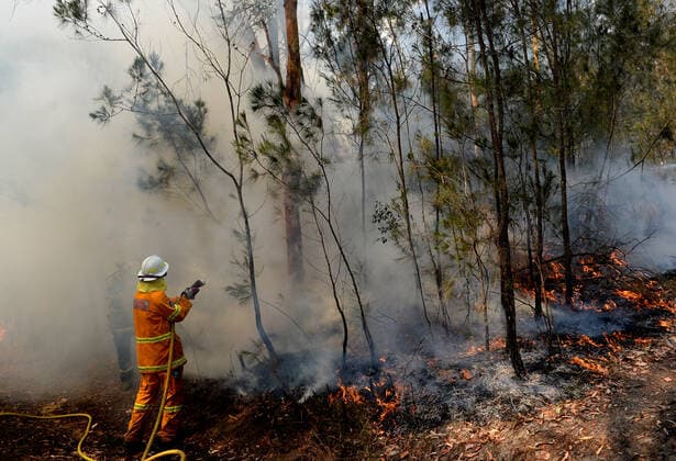 BUSHFIRES NSW, NSW Rural Fire fighters establish a backburn in Mangrove Mountain, New South Wales, Sunday, December 8, 2019. ( NO ARCHIVING, EDITORIAL USE ONLY, NO USE IN BOOKS WITHOUT CONSENT CENTRAL COAST NSW AUSTRALIA  Copyright: xJEREMYxPIPERx 20191208001436815858