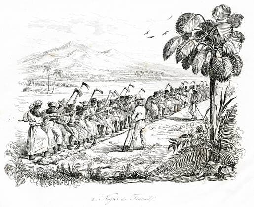 IMAGO History, Ende des afrikanischen Sklavenhandels und die Abschaffung der Sklaverei: 1807-1888 ESCLAVAGE En Martinique, les negres au travail (sous la surveillance des gardes avec leur fouet). Illustration de 1836 par Alphonse BOILLY (1801-1867) pour Voyage pittoresque dans les deux Ameriques par Alcide d ORBIGNY (1802-1857). Credit : Coll. Jonas KHARBINE-TAPABOR. *** SLAVING In Martinique, the negres at work under the supervision of the guards with their whip Illustration of 1836 by Alphonse BOILLY 1801 1867 for picturesque journey in the two Americas by Alcide d ORBIGNY 1802 1857 Credit Coll Jonas KHARBINE TAPABOR  KH142776