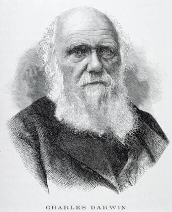 DARWIN Portrait de Charles DARWIN (1809-1882)). Ilustration anonyme de 1891 pour la Galeries des naturalistes par J. PIZETTA . Credit : Coll. BHVP-Grob KHARBINE-TAPABOR. *** DARWIN Portrait of Charles DARWIN 1809 1882 Anonymous Ilustration of 1891 for the Naturalist Gallery by J PIZETTA Credit Coll BHVP Grob KHARBINE TAPABOR  KH48156