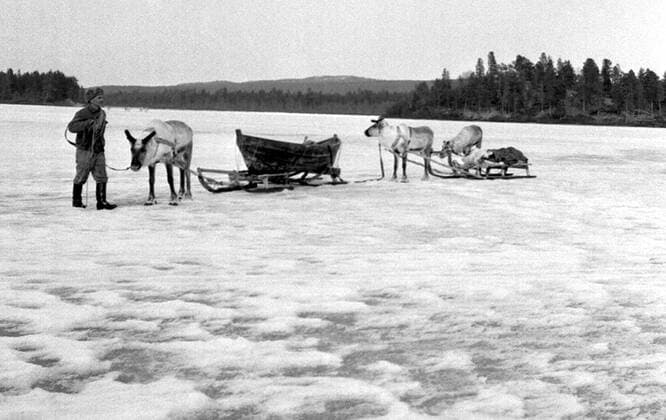 LAPONIE Sleigh Lapland, KAITUM in LAPONIE Photography by Roger PERRIN, 1955 Credit Photo PERRIN KHARBINE TAPABOR  KH99755