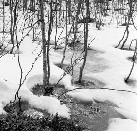 LAPONIE Paysage en LAPONIE Photography by Roger PERRIN, 1955 Credit Photo PERRIN KHARBINE TAPABOR  KH99758