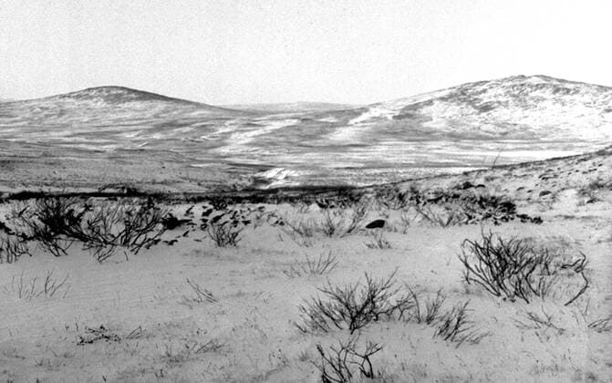 LAPONIE Paysage en LAPONIE Photography by Roger PERRIN, 1955 Credit Photo PERRIN KHARBINE TAPABOR  KH99761