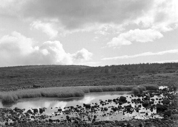 LAPONIE Paysage en LAPONIE Photography by Roger PERRIN, 1955 Credit Photo PERRIN KHARBINE TAPABOR  KH99762