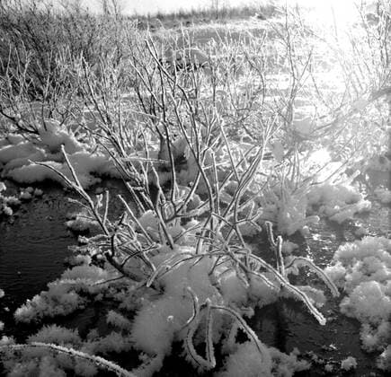 LAPONIE Paysage en LAPONIE Photography by Roger PERRIN, 1955 Credit Photo PERRIN KHARBINE TAPABOR  KH99767