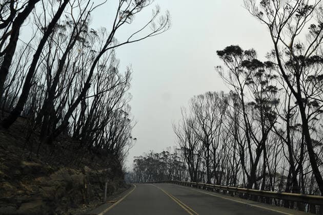 BUSHFIRES NSW, Burnt bushland from the Gospers Mountain fire along the Bells Line of Road in the Blue Mountains north west of Sydney, Tuesday, December 17, 2019. Fire conditions are expected to deteriorate over the coming days with Thursday and Saturday likely to experience severe fire conditions with temperatures in the 40 s and and strong north westerly winds.( NO ARCHIVING, EDITORIAL USE ONLY, NO USE IN BOOKS WITHOUT CONSENT Sydney NSW AUSTRALIA  Copyright: xDEANxLEWINSx 20191217001438315684