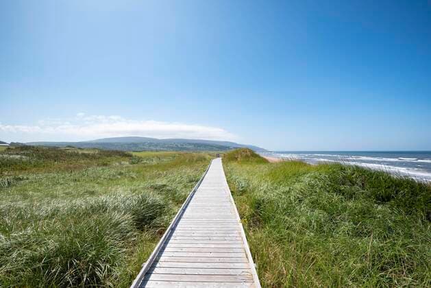 Wooden jetty through dune scenery, Inverness Beach Boardwalk, Cape Breton Island, Nova Scotia, Canada, North America Copyright: imageBROKER/MarkusxKeller ibxmkl05089179.jpg