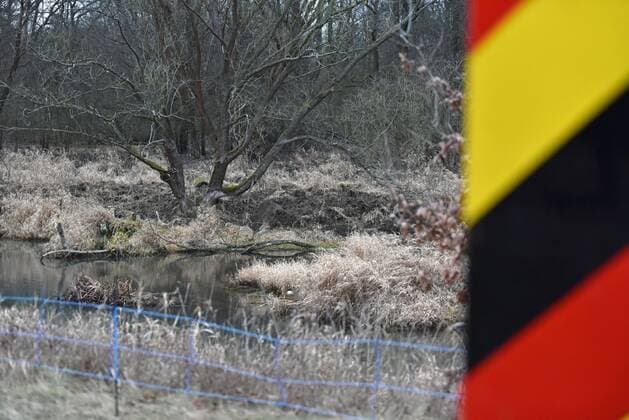 News Themen der Woche KW01 News Bilder des Tages Köbeln Zelz - Afrikanische Schweinepest: Brandenburg sichert Grenzregion mit Wildschutzzäunen 03.01.2020 Deutsch-Polnische Grenze zwischen Köbeln und Zelz Fotograf: LausitzNews Nach dem Fund eines toten Wildscheines nur wenige Kilometer nordöstlich von Bad Muskau schlagen deutsche und polnische Behörden Alarm: Vorsorglich wurden heute weiter flächendeckende Wildschutzzäune errichtet. Zwischen Köbeln und Zelz in Brandenburg zogen Arbeiter mehrere Kilometer des blauen Zaunes an der Neiße entlang. Im Abstand von ca. 50 Metern wurden Schilder befestigt, die auf die elektrische Spannung hinweisen. Am gegenüberliegenden Ufer der Neiße sind deutliche Spuren von Wildschweinen zu erkennen. Die Behörden hoffen, dass ein Übergriff der Seuche auf Deutschland verhindert werden kann. Auch in den kommenden Tagen sollen nach Informationen Copyright: xLausitzNewsx