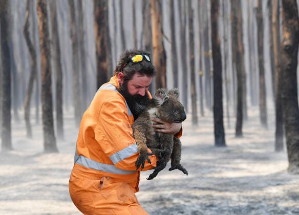 IMAGO Nature: Unsere Erde, Klimawandel, Waldbrände News Bilder des Tages KANGAROO ISLAND BUSHFIRES, Adelaide wildlife rescuer Simon Adamczyk is seen with koala rescued at a burning forest near near Cape Borda on Kangaroo Island, southwest of Adelaide, Tuesday, January 7, 2020. A convoy of Army vehicles, transporting up to 100 Army Reservists and self-sustainment supplies, have arrived on Kangaroo Island as part of Operation Bushfire Assist at the request of the South Australian Government. ( NO ARCHIVING, EDITORIAL USE ONLY, NO USE IN BOOKS WITHOUT CONSENT ADELAIDE SA AUSTRALIA  Copyright: xDAVIDxMARIUZx 20200107001440807322