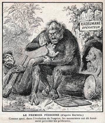 EVOLUTIONNISM The first pedicure after DARWIN As what, in the evolution of the species, the manicures have forcibly preceded the pedicures Caricature by KOTEK for the Pele Mele of January 5, 1902 Credit Collection KHARBINE TAPABOR  KH240995