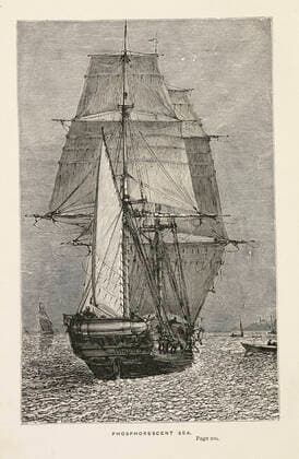 DARWIN Biography The HMS Beagle, the ship that transported Charles Darwin for his research illustration from his journal Journal of Researches into the Natural History and Geology of the Countries visited during the Voyage of H M S Beagle round the World published in 1891 Credit Collection British Library KHARBINE TAPABOR  KH417088