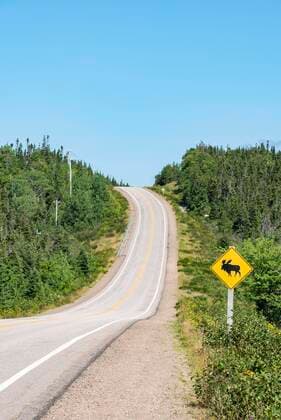 Road sign warns of crossing moose, Cabot Trail, Cape Breton Highlands National Park, Nova Scotia, Canada, North America Copyright: imageBROKER/MarkusxKeller ibxmkl05089053.jpg
