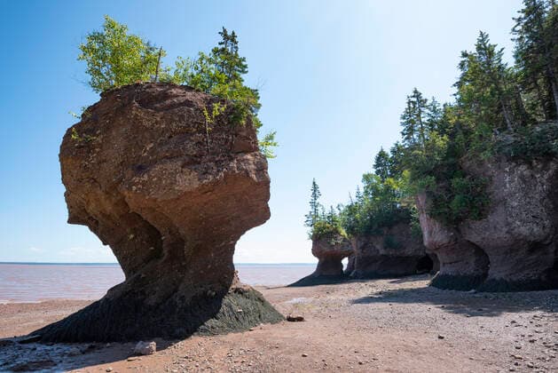 Canada, New Brunswick, Hopewell Rocks formation at Bay of Fundy  ELF02085