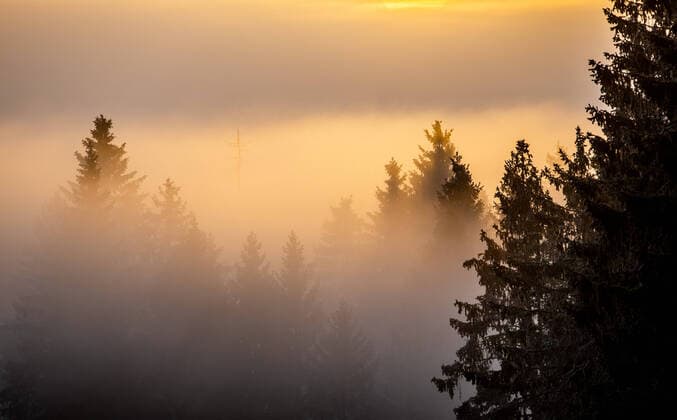 Sunset in the Upper Harz 25 01 2020, Altenau Lower Saxony Sunset in the Upper Harz at the fog edge, spruces rose from the fog sea in the valley, Altenau Germany