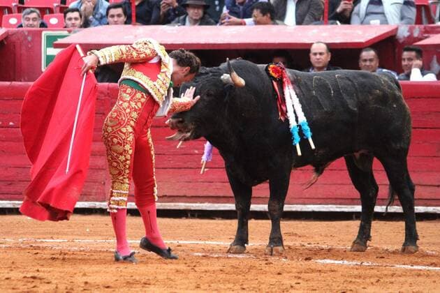 Spanish bullfighter Antonio Ferrera faces bull Chikis , of 516 kg, in Mexico City, Mexico, 26 January 2020. Bullfight in Mexico City !ACHTUNG: NUR REDAKTIONELLE NUTZUNG!  Copyright: xTadeoxAlcinax AME5733 20200127-637156946877013935