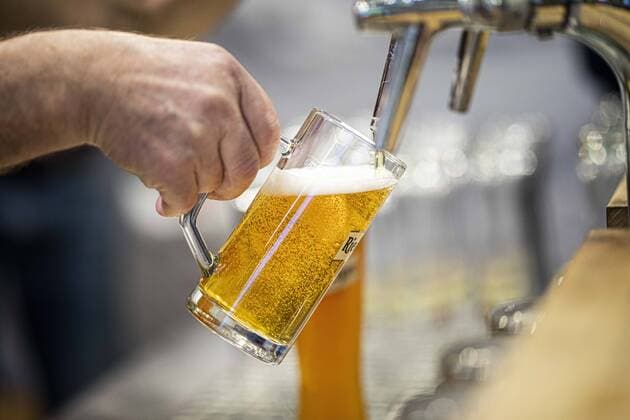 A beer is tapped at a tap, recorded in Berlin, 24 01 2020 Berlin Germany Copyright: xFlorianxGaertner photothek.netx
