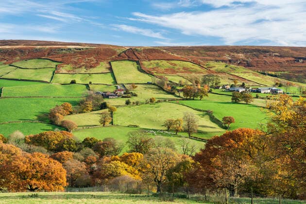 Autumn sunlight over green fields and deciduous woodland in Farndale, The North Yorkshire Moors, Yorkshire, England, United Kingdom, Europe Copyright: JohnxPotter 1228-231