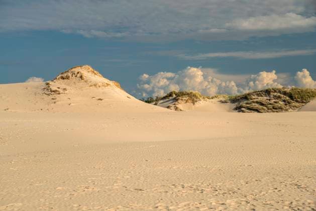Wanderdünen Sand Wanderdünen, Slowinzischer Nationalpark, Pommern, Polen, Europa Moving sand dunes, Slowinski National Park, Pomerania, Poland, Europe