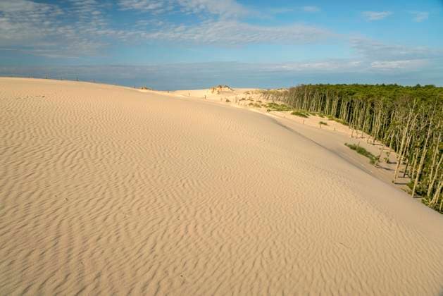 Wanderdünen Sand Wanderdünen und Wald, Slowinzischer Nationalpark, Pommern, Polen, Europa Moving sand dunes and forest, Slowinski National Park, Pomerania, Poland, Europe