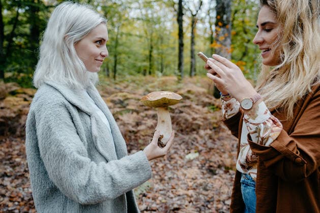 Two young women taking snapshot of a mushroom in a forest France CR_MIVE191211-230563-01