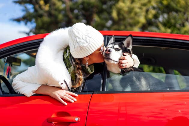 IMAGO Creative: Countdown bis Weihnachten, Nach Hause reisen Woman with her Siberian husky dog peek out of car windows and sucks with tongue. Salmeron, CM, Espana CR_OSCA191205B-250438-01