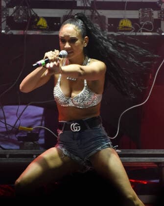 February 1, 2020, Miami, FL, USA: MIAMI, FLORIDA - FEBRUARY 01: Kali Cass performs during the 2020 Vewtopia Music Festival at Marlin s Park in Miami, Florida. Photo: Alex Pesantes imageSPACE Miami USA - ZUMAs181 20200201_zea_s181_090 Copyright: xImagespacex