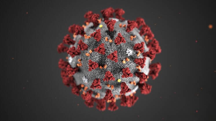 February 3, 2020, Atlanta, GA, United States of America: Illustration created at the Centers for Disease Control and Prevention showing the ultrastructural morphology exhibited by the Novel Coronavirus 2019-nCoV virus which has caused an outbreak of respiratory illness first detected in Wuhan, China in 2019. Note the spikes that adorn the outer surface of the virus, which impart the look of a corona surrounding the virion, when viewed electron microscope. Atlanta United States of America - ZUMAp138 20200203_zaa_p138_004 Copyright: xCdc Cdcx
