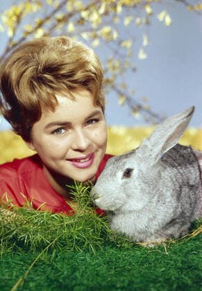 Cornelia Conny Froboess, deutsche Schauspielerin und Sängerin, Deutschland um 1960. German actress and singer Cornelia Conny Froboess, Germany early 1960. Nur redaktionelle Nutzung. Editorial usage only. Copyright: ArthurxGrimm UnitedArchives82001960