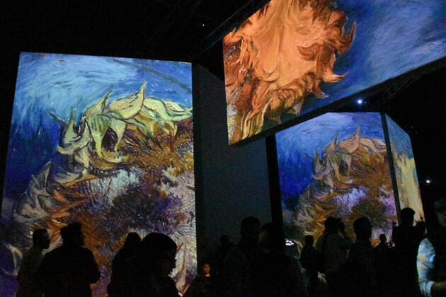 Van Gogh Alive The Experience Exhibition in Mexico MEXICO CITY, MEXICO - FEBRUARY 18: People attends at Van Gogh Alive The Experience virtual exhibition multisensory experience created by Grande Exhibitions with Sensory 4 technology, made for Mexico by Must Wanted Group. After presenting successfully in more than 60 cities around the world, Van Gogh Alive is exhibited in Mexico with the assembly of the immersive gallery in which this unique multimedia show is developed with more than 50 high definition projectors . at Monumento a la Madre on February 18, 2020 in Mexico City, Mexicoo Copyright: xIlianaxSuarezx EYE_4806