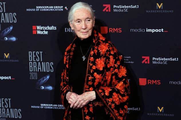 2020 Bilder des Jahres, Entertainment 02 Februar Entertainment Themen der Woche KW08 Jane Goodall bei der 17. Verleihung der Best Brands Awards 2020 im Hotel Bayerischer Hof. München, 19.02.2020 *** Jane Goodall at the 17th presentation of the Best Brands Awards 2020 at the Hotel Bayerischer Hof Munich, 19 02 2020 Foto:xA.xPohlx xFuturexImage