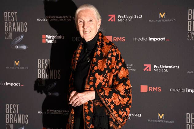 Jane Goodall bei der 17. Verleihung der Best Brands Awards 2020 im Hotel Bayerischer Hof. München, 19.02.2020 *** Jane Goodall at the 17th presentation of the Best Brands Awards 2020 at the Hotel Bayerischer Hof Munich, 19 02 2020 Foto:xS.xAdamx xFuturexImage
