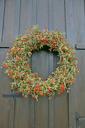 IMAGO Creative: Herbst, Herbstkränze Kranz an einer Türe *** Wreath on a door 1046804655