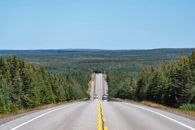 Canada, Nova Scotia, Diminishing perspective of highway surrounded by green vast forest  ELF02111
