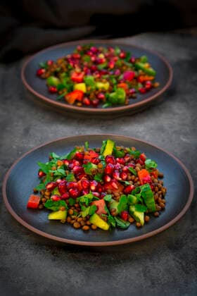 Oriental lentil salad with lentils, cucumber, bell pepper, parsley and pomegranate seeds  LVF08584