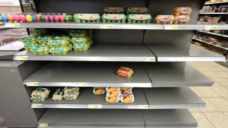 Coronavirus anxiety, hamster purchases, in one shop many eggs were sold partly the shelves are already empty and articles sold out hamster purchases because of coronavirus on 29 02 2020 in Siegen Germany