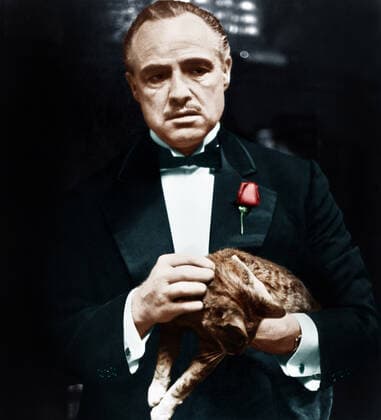 THE GODFATHER, Marlon Brando, 1972 Courtesy Everett Collection PUBLICATIONXNOTxINxCANxCHNxFRAxITAxJPNxNORxPOLxRUSxESPxUKxUSA Copyright: xCourtesyxEverettxCollectionx M8DGODF EC006