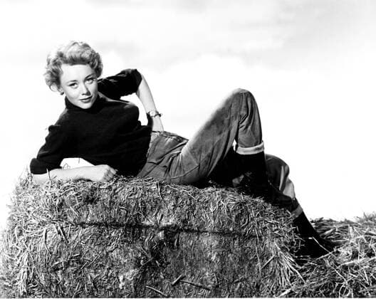 APPOINTMENT WITH VENUS, Glynis Johns, 1951 Courtesy Everett Collection PUBLICATIONXNOTxINxCANxCHNxFRAxITAxJPNxNORxPOLxRUSxESPxUKxUSA Copyright: xCourtesyxEverettxCollectionx MBDAPWI EC032