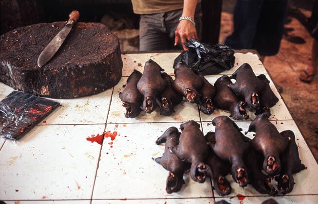 20 04 2009, Tomohon, Sulawesi, Indonesia, Asia At the traditional meat market in Tomohon, roasted fruit bats and giant bats are offered for consumption. Bats are considered to be transmitters and hosts of pathogens and after the outbreak of coronavirus a general ban on trade and sale of wild animals is being discussed