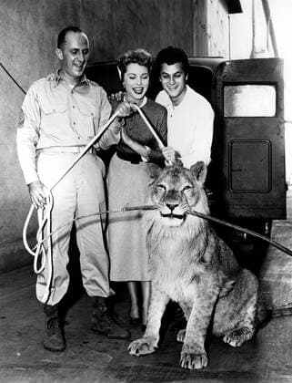 FEARLESS FAGAN, Keenan Wynn, Janet Leigh and visitor Tony Curtis with the titled star on set, 1952 Courtesy Everett Collection PUBLICATIONXNOTxINxCANxCHNxFRAxITAxJPNxNORxPOLxRUSxESPxUKxUSA Copyright: xCourtesyxEverettxCollectionx MBDFEFA EC001