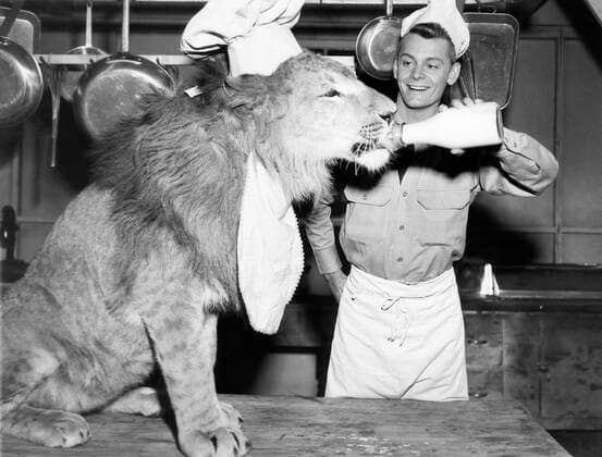 FEARLESS FAGAN, Carleton Carpenter, 1952 Courtesy Everett Collection PUBLICATIONXNOTxINxCANxCHNxFRAxITAxJPNxNORxPOLxRUSxESPxUKxUSA Copyright: xCourtesyxEverettxCollectionx MBDFEFA EC005