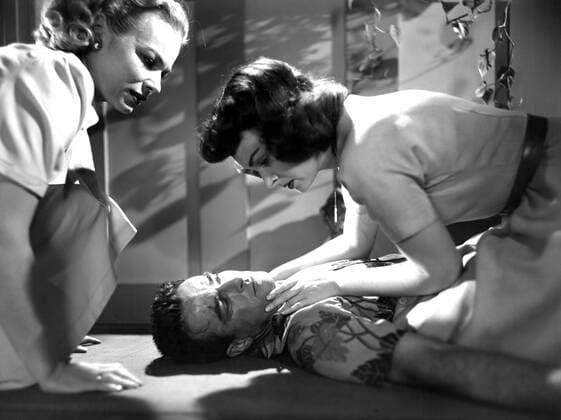 OSCARS: Beste Nebendarstellerin, PreistrÃ¤gerinnen 1951-1960 FROM HERE TO ETERNITY, Montgomery Clift, Donna Reed, 1953 Courtesy Everett Collection PUBLICATIONXNOTxINxCANxCHNxFRAxITAxJPNxNORxPOLxRUSxESPxUKxUSA Copyright: xCourtesyxEverettxCollectionx MBDFRHE EC047
