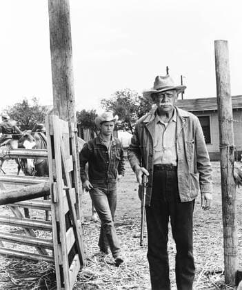OSCARS. Bester Nebendarsteller. PreistrÃ¤ger 1961-1970 HUD, from left, Brandon de Wilde, Melvyn Douglas, 1963 Courtesy Everett Collection PUBLICATIONXNOTxINxCANxCHNxFRAxITAxJPNxNORxPOLxRUSxESPxUKxUSA Copyright: xCourtesyxEverettxCollectionx MBDHUDD EC028