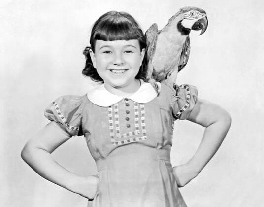 LITTLE MISS NOBODY, Jane Withers, 1936, TM & Copyright 20th Century Fox Film Corp. courtesy Everett Collection Â©20thCentFox Courtesy Everett Collection PUBLICATIONXNOTxINxCANxCHNxFRAxITAxJPNxNORxPOLxRUSxESPxUKxUSA Copyright: x20thCentFox CourtesyxEverettxCollectionx MBDLIMI FE009