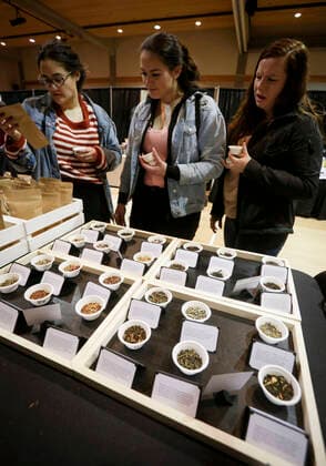 (200308) -- VANCOUVER, March 8, 2020 (Xinhua) -- Different tea leaves are displayed at a booth during the sixth annual Vancouver Tea Festival in Vancouver, Canada, March 8, 2020. The Vancouver Tea Festival returned for the sixth year this weekend, featuring tea manufacturers, connoisseurs and vendors exhibiting different types of tea from around the world. (Photo by Liang Sen Xinhua) CANADA-VANCOUVER-TEA FESTIVAL 